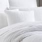 Oscar/Oliver Sinclair Square Decorative Pillow - 20x20 - image 2