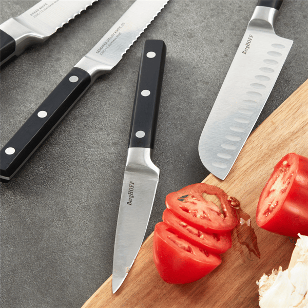 BergHOFF DiNA Gene 4pc. Stainless Steel Knife Set