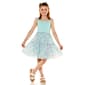 Girls (4-6x) BTween(R) Flower Meadow Tutu Dress with Ruffle - image 1