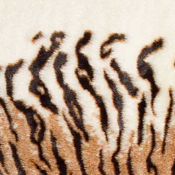 9th & Pike® Faux Fur Tiger Shag Area Rug