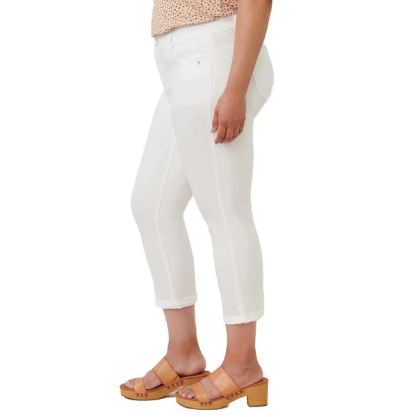 Plus Size Democracy “Ab”solution® Mid Rise Denim Ankle Jeans