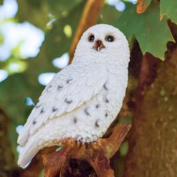 Hi-Line Gift Small Snowy Owl Garden Statue