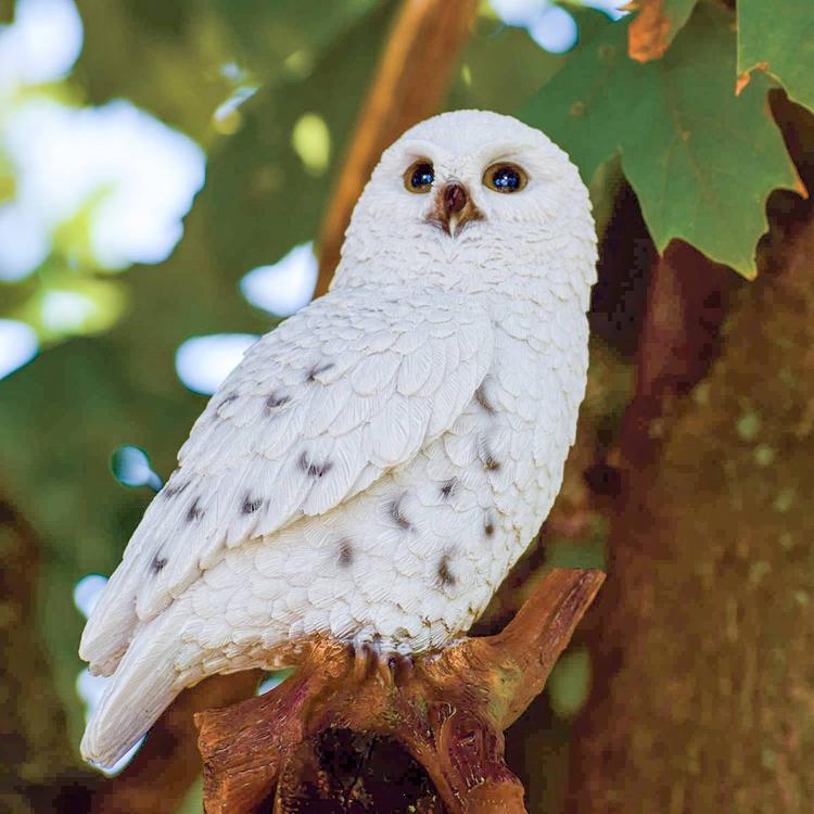 Hi-Line Gift Small Snowy Owl Garden Statue