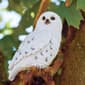 Hi-Line Gift Small Snowy Owl Garden Statue - image 5