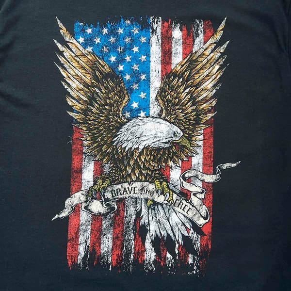 Mens Patriotic Brave Eagle II Short Sleeve Graphic Tee