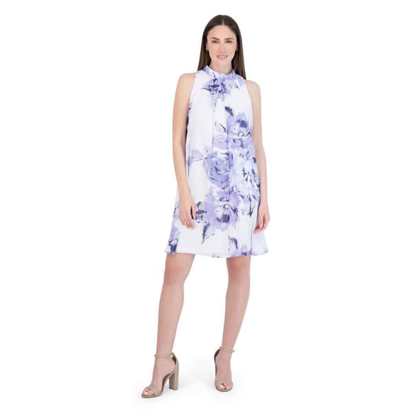 Womens Robbie Bee Sleeveless Mock Neck Chiffon Dress