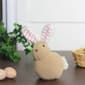 Northlight Seasonal Plush Rabbit w/ Striped Ears Easter Figurine - image 3