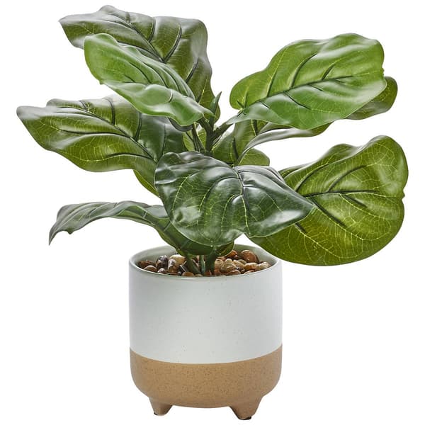 13.5in. Life Like Fiddle Plant - image 