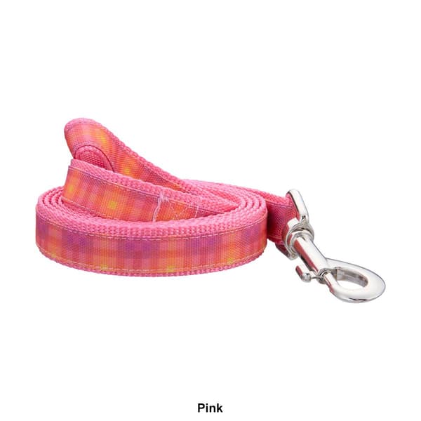 Best Furry Friends Ombre Graphic Pet Leash
