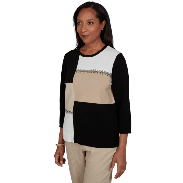 Petite Alfred Dunner Travel Advisory Color Block Sweater