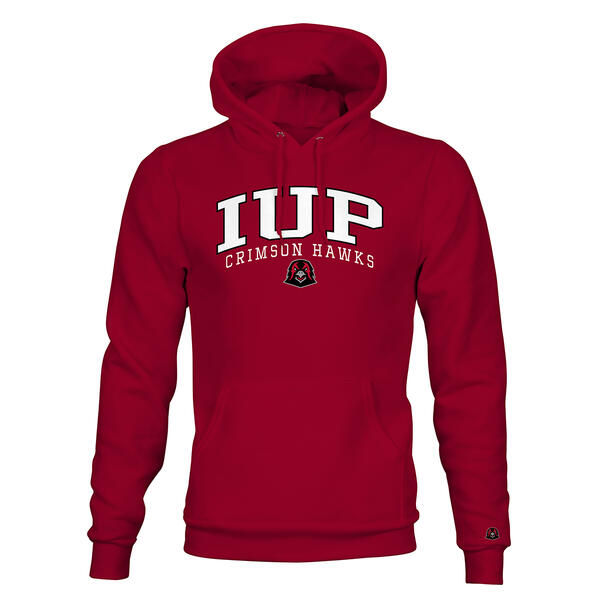 Mens Tsi IUP School Pride Hoodie - image 