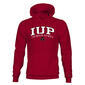 Mens Tsi IUP School Pride Hoodie - image 1