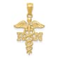 Unisex Gold Classics&#40;tm&#41; 14kt. Polished Diamond Cut RN Nurse Pendant - image 1