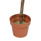 Northlight Seasonal Potted Artificial Double Ball Topiary Tree - image 3