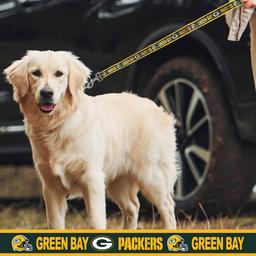 NFL Green Bay Packers Dog Leash