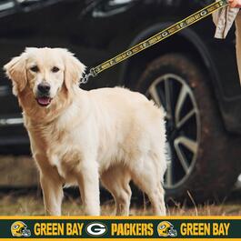 NFL Green Bay Packers Dog Leash