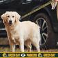 NFL Green Bay Packers Dog Leash - image 2