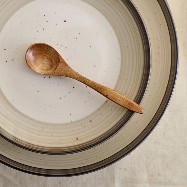 Earth & Clay Harlow 12-Piece Earthenware Dinnerware Set