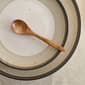 Earth & Clay Harlow 12-Piece Earthenware Dinnerware Set - image 5