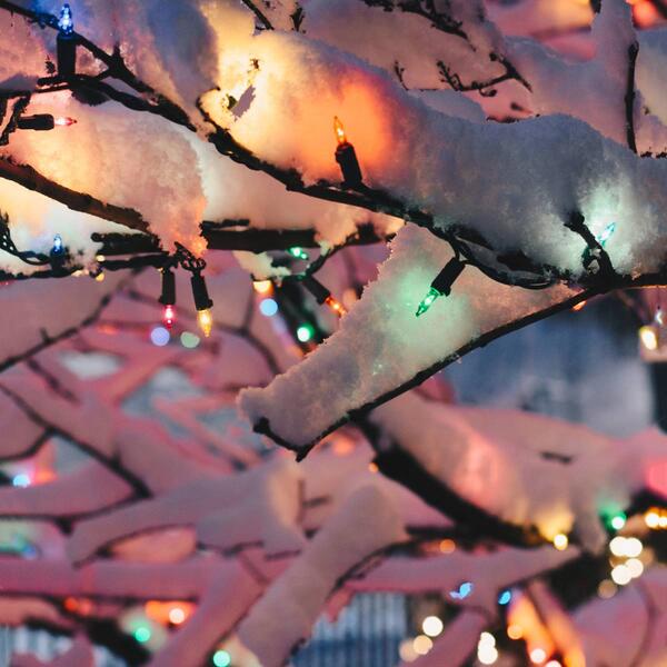 Northlight Seasonal 50 Multi-Colored Mini Christmas Lights