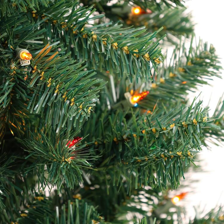 National Tree 6ft. Acacia Christmas Tree w/ Multicolor Lights