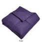 Blue Ridge Home Fashions Microfiber Down Alternative Comforter - image 8