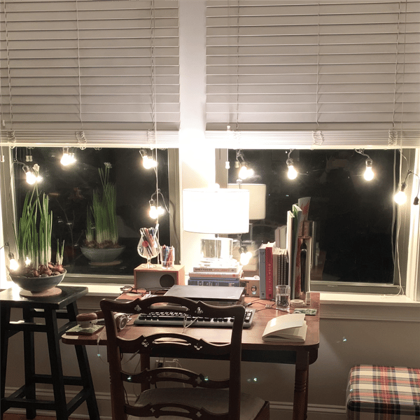 Sienna 15ct. Clear Commercial Grade A Shape Patio Lights