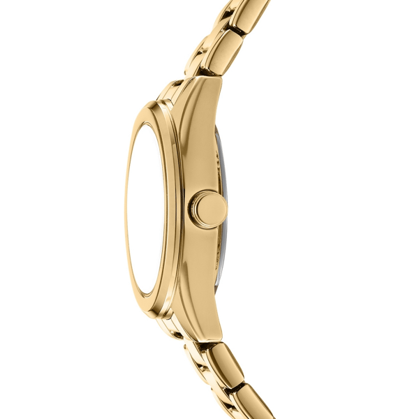 Womens DKNY Logo Green Dial Gold-Tone Watch Gift Set DK1L145M0065