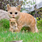Hi-Line Gift Mother Cat Carrying Kitten Garden Statue - image 5