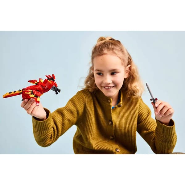 LEGO&#174; Harry Potter Fawkes Dumbledore''s Phoenix