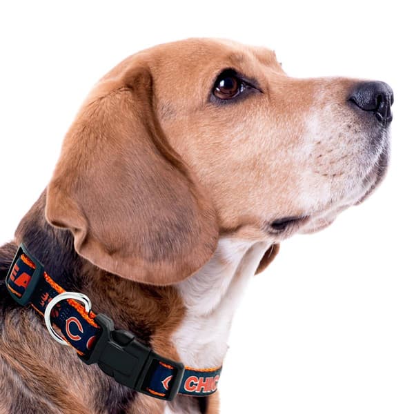 NFL Chicago Bears Dog Collar