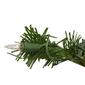 Northlight Seasonal 18in. Deluxe Windsor Pine Christmas Wreath - image 3