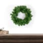 Northlight Seasonal 12in. Pine Mini Artificial Christmas Wreath - image 2