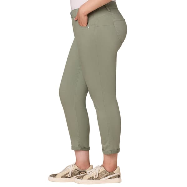 Plus Size Democracy "Ab"solution® Ankle Skimmer Jeans