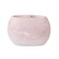 Cassadecor Rose Bath Accessories - Toothbrush Holder - image 1