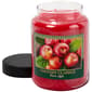 Country Classics 26oz. Fresh Apple Jar Candle - image 1
