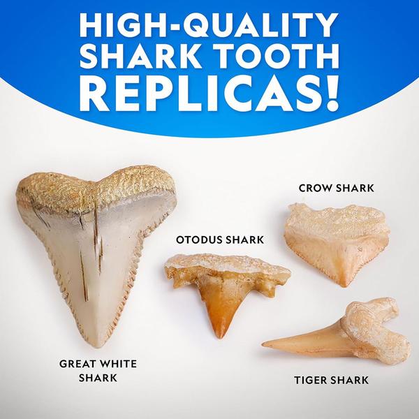 National Geographic Replica Shark Tooth Dig Kit