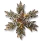 National Tree 18in. Glittery Bristle&#40;R&#41; Pine LED Snowflake - image 1