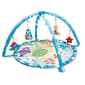 Winfun Polar Fiesta Playmat - image 1