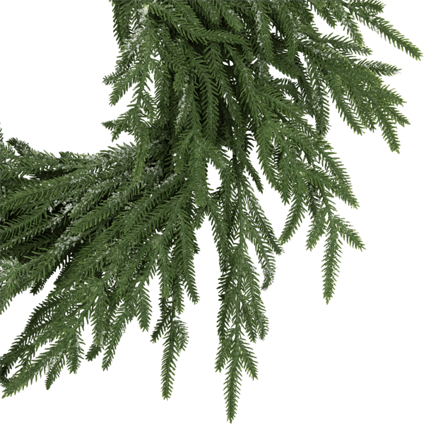 Northlight Frosted Norfolk Pine Artificial Christmas Wreath