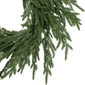 Northlight Frosted Norfolk Pine Artificial Christmas Wreath - image 4