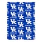 Northwest Kentucky Wildcats Bed in a Bag - image 2