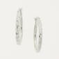 Sterling Silver Polished Hoop Earrings - image 1