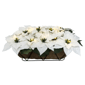 Puleo International Pre-Lit White Poinsettia Window Box Décor - image 1