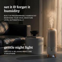 HoMedics 2.0 gallon warm/cool mist humidifier