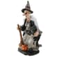 National Tree 18in. Witch Holding Black Cat - image 1