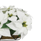 Puleo International Pre-Lit White Poinsettia Window Box Décor - image 5