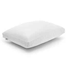 Sealy Down Alternative & Memory Foam Pillow