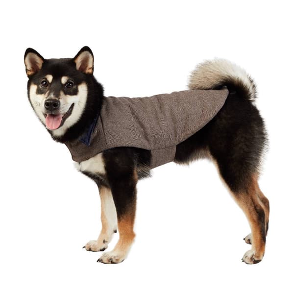 Best Furry Friends Chevron Pet Jacket