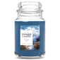 Yankee Candle(R) Ocean Air 22oz. Jar Candle - image 1